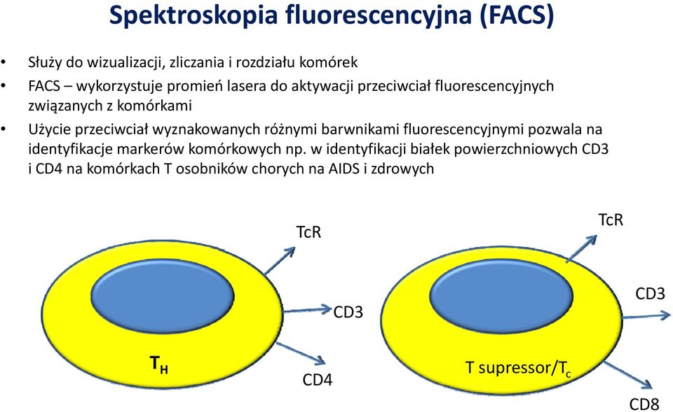 wyznakowanych różnymi barwnikami fluorescencyjnymi pozwala na identyfikacjemarkerów komórkowych np.