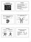 PODSTAWY IMMUNOHISTOCHEMII. Determinanty antygenowe (epitopy) Surowice. Antygeny. Otrzymywanie przeciwciał poliklonalnych. poliwalentne monowalentne