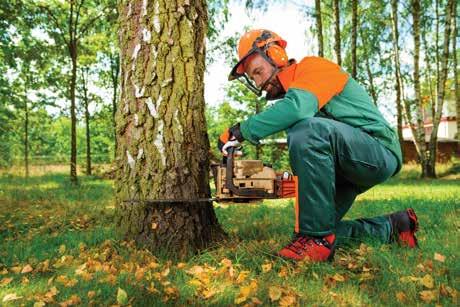 PILARKI SPALINOWE, NOŻYCE I ŚWIDRY Pilarki spalinowe Potrzebujesz przygotować drewno na opał, przyciąć gałęzie w sadzie lub pielęgnować drzewa w lesie?