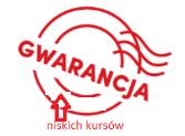 Z życia masz tyle, ile sam przeżyjesz! Karta rewolucyjna Płać kartą rewolucyjną do konta za granicą, która gwarantuje niskie kursy² prosto z konta w złotych.