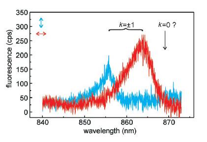 Symetria kompleksu LH2 Dynamika konformacyjna