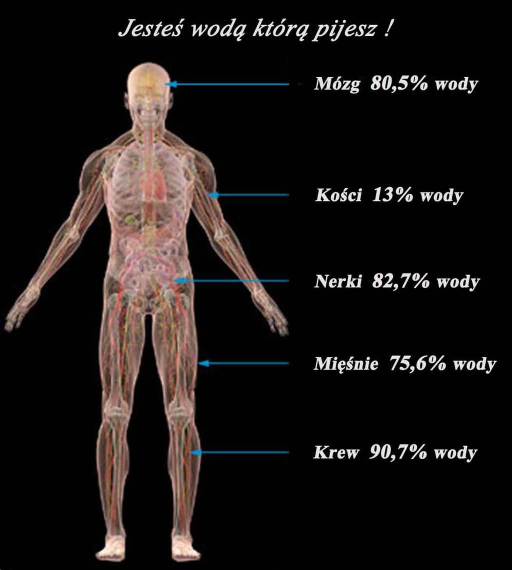 rekomenduje picie wody o podwyższonym ph. Przenośny ALKALINE WATER FLASK wytwarza wodę o ph pomiędzy 7,5 a 9,5.