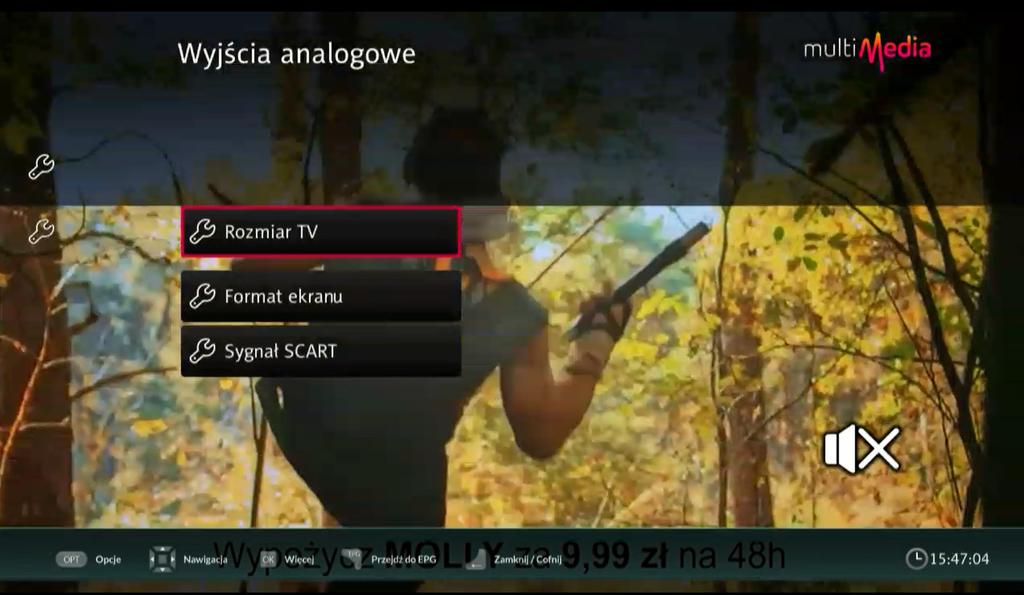 Znajdujące się tu opcje to: Format ekranu umożliwia skalowanie obrazu, jeśli proporcje nadawanego obrazu różnią się w stosunku do proporcji telewizora, na którym oglądany jest obraz.