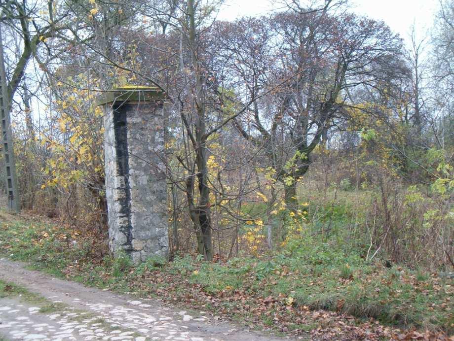 Rysunek 7 Park dworski. Obiekty walorach kulturowych objęte ewidencją zabytków, chronione prawem miejscowym Wykaz obiektów architektury i budownictwa Adres Rodzaj Data powstania Wartości kulturowe ul.