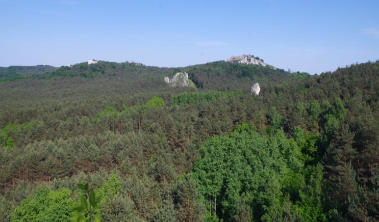 Park Krajobrazowy Orlich Gniazd wchodzi w skład Zespołu Jurajskich Parków Krajobrazowych.