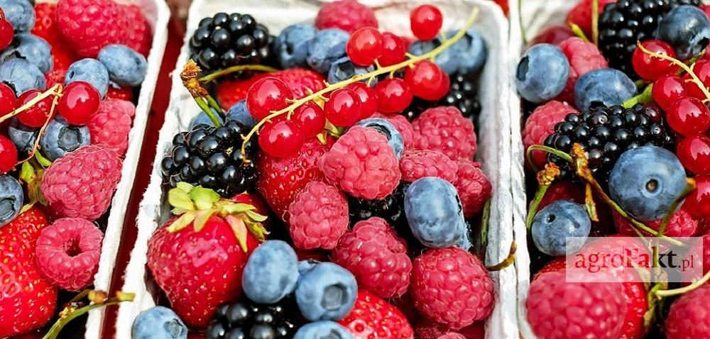 https://www. Owoce jagodowe - jakie będą ceny w najbliższym czasie? Autor: Ewa Ploplis Data: 9 września 2017 Z powodu wiosennych przymrozków w br.