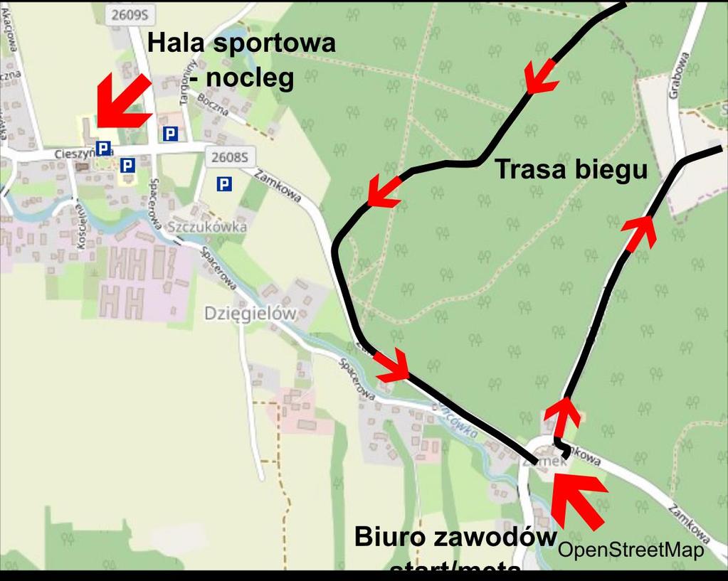 Komunikat techniczny 1. Termin i miejsce 5-6 kwietnia 2019 r. Dzięgielów, ul.