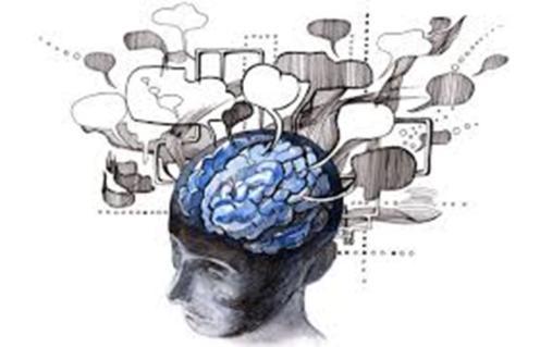 Dwu-/wielojęzyczność a mózg Wzmocnienie kory przedczołowej Funkcje wykonawcze (Bialystok 2011) Większa aktywność niektórych obszarów mózgu podczas przetwarzania danych w obu językach Opóźnienie