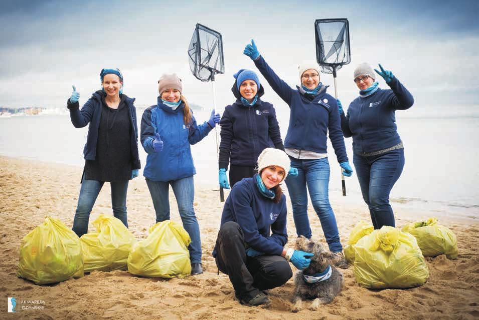 27 marca 2019 roku Parlament Europejski przegłosował zakaz używania jednorazowego plastiku, czyli np. plastikowych, jednorazowych sztućców i talerzy, który zacznie obowiązywać w 2021 roku.