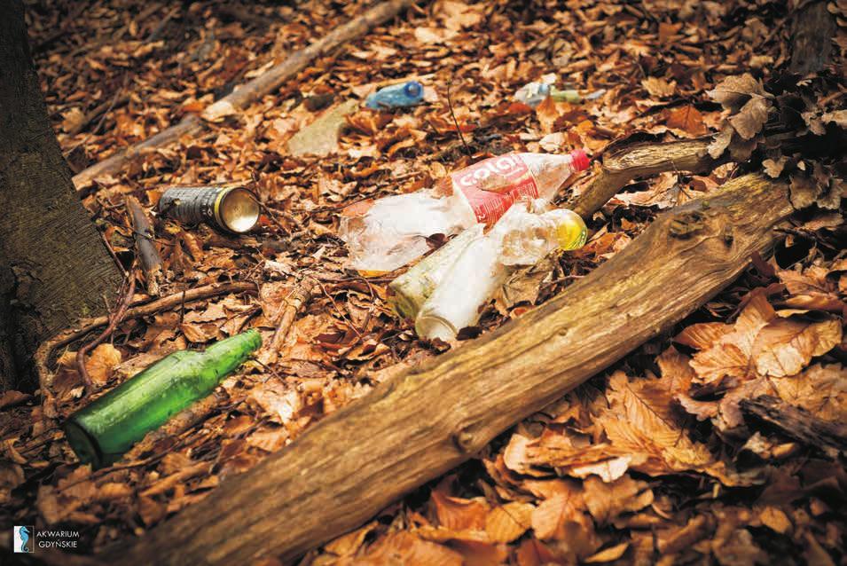 Wyzwanie polega na zlokalizowaniu zaśmieconego miejsca, najlepiej w lesie lub innym obszarze przyrodniczym, zrobieniu zdjęcia zalegających śmieci, a następnie posprzątaniu tego miejsca i wykonaniu