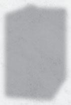 ŚCIÓŁKOWY 10 KG 41406679 29467