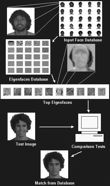 Algorytmy Rozpoznawania Wzorców Algorytm Eigenfaces Założenia Kwadratowe obrazy szerokość = wysokość = N M liczba obrazów w bazie danych P