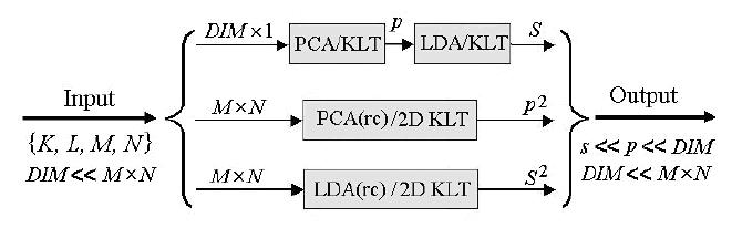 LDA : ograniczenia Algorytmy Rozpoznawania Wzorców Klasyczna metod LDA wymaga przeprowadzania wstępnej redukcji wymiarowości danych, np. za pomocą próbkowania (down-sampling) lub PCA/PCArc.