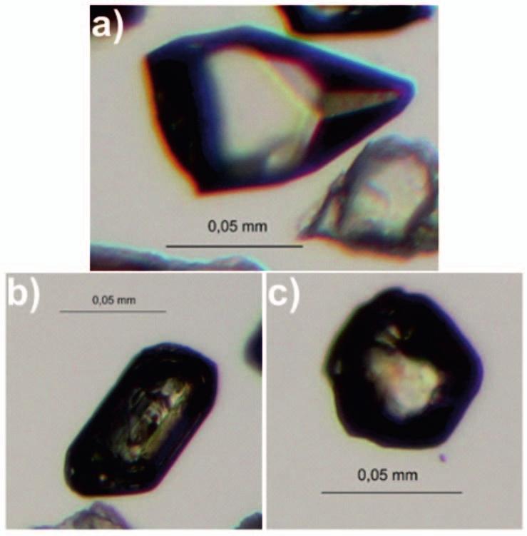 Zespół minerałów ciężkich, w analizowanych próbkach, reprezentowany jest przez cyrkon, turmalin, granat, rutyl, apatyt, chloryt, tytanit, spinel chromowy oraz minerały z grupy epidotu klinozoisyt.