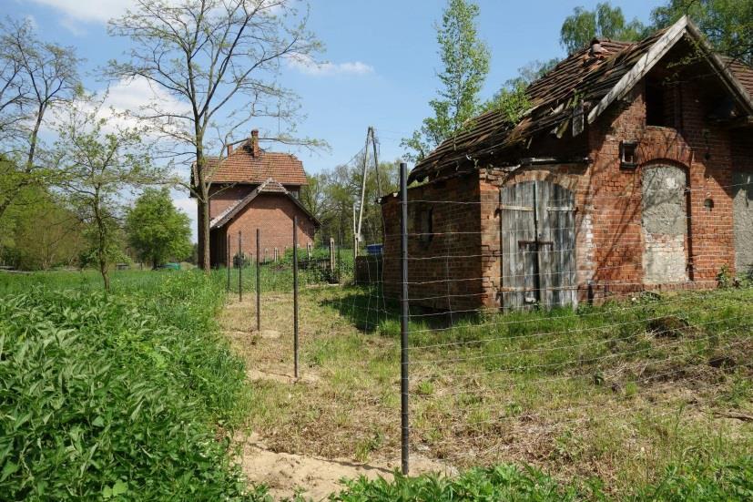 słupach, wykazuje liczne ubytki materiału w zakresie słupów nośnych. Zaistniały stan techniczny konstrukcji wiaty mógł grozić zawaleniem. W związku z powyższym, w dniu 21 czerwca 2017 r.