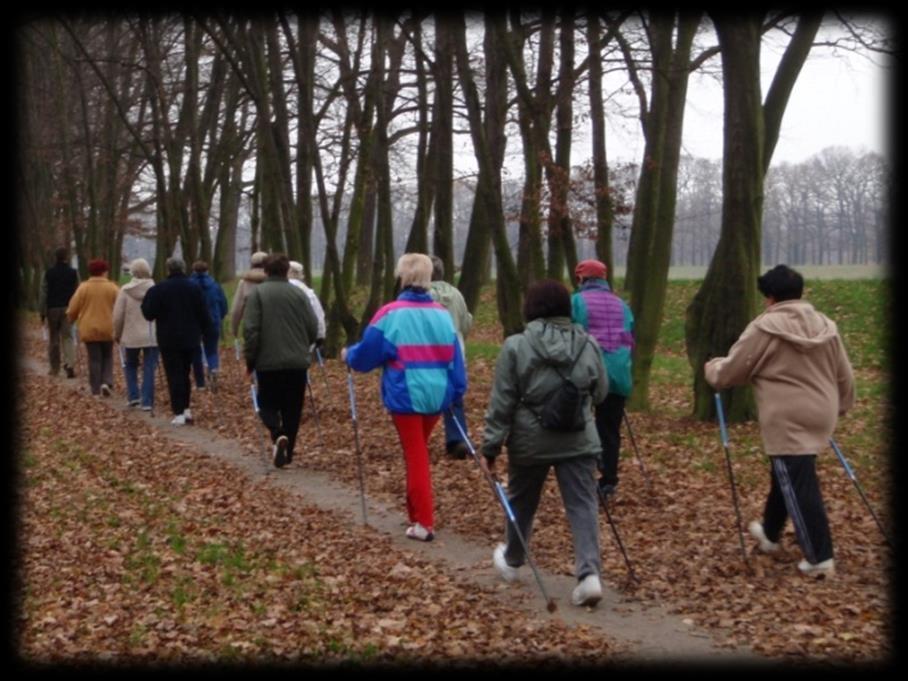 Trening marszowy o charakterze nordic walking 21 kobiet po leczeniu z powodu raka piersi, Wydolność fizyczna 22% 23 kobiety po leczeniu z powodu raka piersi Łańcuch zamknięty dla kończyny górnej