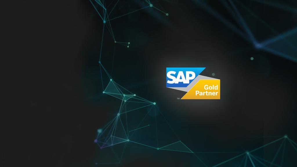 SNP SAP Experts Centrum