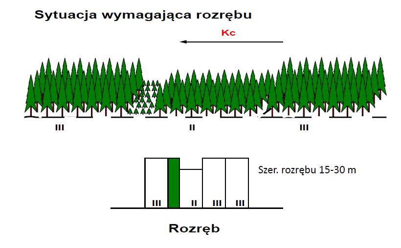 Rozrąb