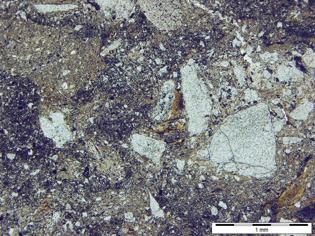 Fot. 9. Duże ziarna kwarcu (białe) rozproszone w ilasto-pyłowym tle skały.