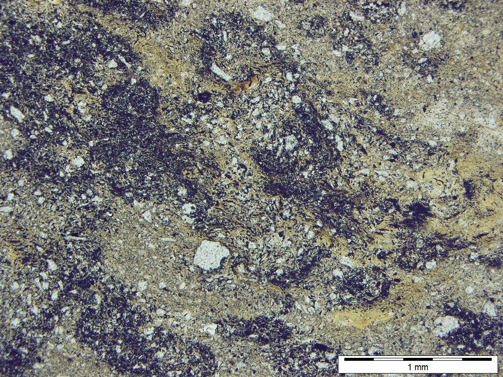 Na postawie cech strukturalno-teksturalnych oraz składu mineralnego można zaklasyfikować badaną skałę jako mułowiec słabo piaszczysty. Fot. 5.