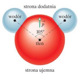 Dipol w polu elektrycznym 1. Cząsteczka wody jest dipolem elektrycznym: 2.