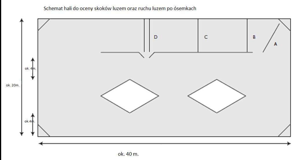 Ogiery są kwalifikowane w czterech grupach: Grupa A - ogiery ujeżdżeniowe Grupa B - ogiery skokowe Grupa C - ogiery tzw. zaawansowane w krew - min.