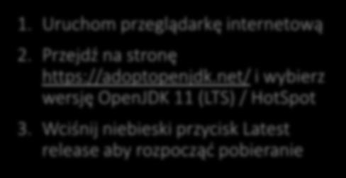 net/ i wybierz wersję OpenJDK 11 (LTS) / HotSpot