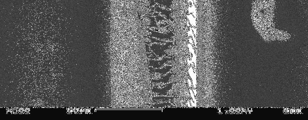 By AFM imaging single DNA molecules were found between the electrodes.