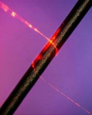 200 GOhm. Below is an AFM image of DNA over gold electrodes. D. Porath, A.