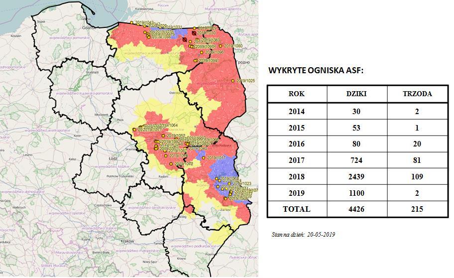 Afrykański Pomór Świń (ASF) Aktualna sytuacja w Polsce Mapa ognisk i przypadków ASF w Polsce oraz aktualny zasięg obszarów objętych restrykcjami Źródło: http://www.wetgiw.gov.