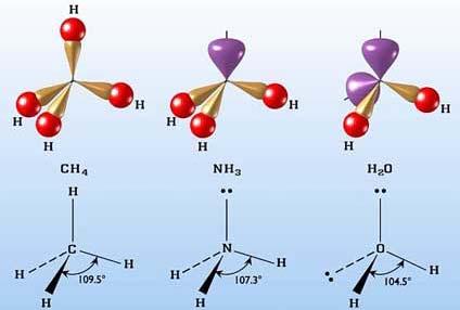 Ligandy Jaką strukturę mają cząsteczki H 2 O,