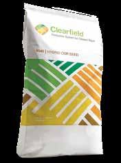 dopasowane do warunków na polu i metody uprawy Wszystkie odmiany przeznaczone do uprawy w Technologii Clearfield oznaczone są symbolem CL w nazwie.