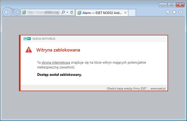 4.2.1 Ochrona dostępu do stron internetowych Zapewnianie połączenia z Internetem jest standardową funkcją komputera osobistego.