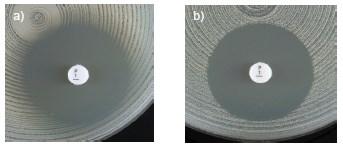 Staphylococcus spp. Tabele wartości granicznych EUCAST wersja 9.0, obowiązująca od 01.01.2019 Przykłady stref zahamowania wzrostu wokół krążka z penicyliną benzylową dla Staphylococcus aureus.