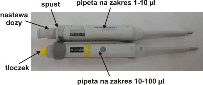 Pipety umożliwiają pobranie i dozowanie precyzyjnie odmierzonej objętości cieczy. Na stanowisku dostępne są pipety na zakres 1-10 µl (szara) oraz 10-100 µl (żółta).