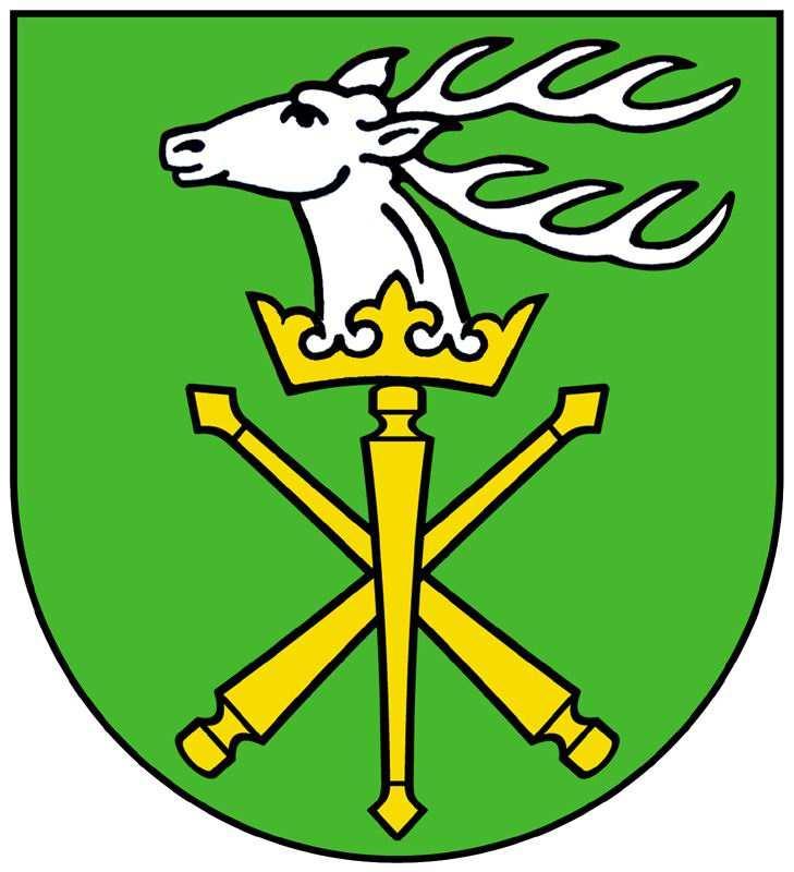Załącznik do uchwały nr IX/50/11 Rady Powiatu w Janowie Lubelskim z dnia 2 czerwca 2011r.
