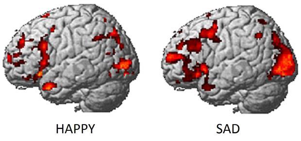 4. Poznanie emocji Różne emocje powstają w różnych częściach mózgu