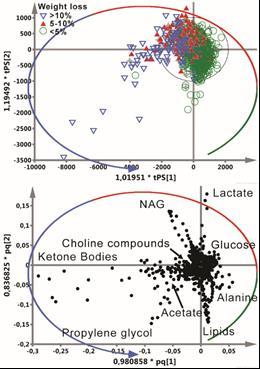 Figure 16. OPLS-DA analysis of the 1D 1H JRES NMR serum spectra.