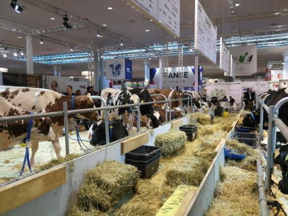 Uczestnicy: liczba 40 - rolnicy, doradcy rolniczy, hodowcy zwierząt, przedstawiciele instytucji pracujących na rzecz rolnictwa Tematyka: zapoznanie polskich hodowców z pozyskiwaniem mleka w Niemczech