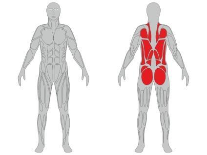 Informacje techniczne o urządzeniu fitness: Nazwa urządzenia: Prostownik pleców podwójny na pylonie Numer katalogowy: FP21 Zgodność z normami: PN-EN 16630:2015 Certyfikat: Na zgodność z norma PN-EN