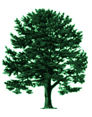 Drzewa Drzewa poszukiwań binarnych (BST) Kopce Drzewa AVL - nazwa AVL pochodzi od nazwisk rosyjskich matematyków: Gieorgij