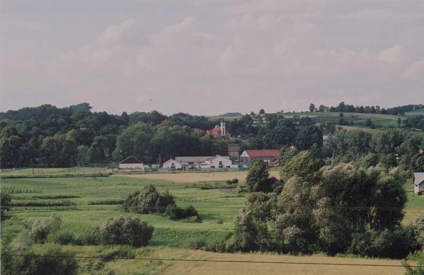 Stan środowiska naturalnego w powiecie strzyżowskim został szeroko omówiony w opracowaniu Strategia rozwoju powiatu strzyżowskiego na lata 2002 2010 25.