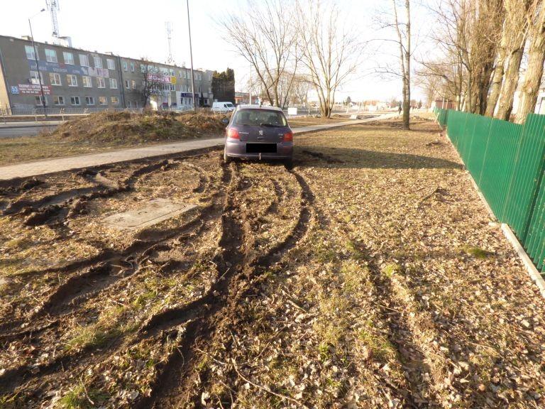 Parkowanie na trawnikach i niszczenie zieleni Funkcjonariusze Straży Miejskiej zwracają szczególną uwagę na kwestię dewastowania zieleni miejskiej.