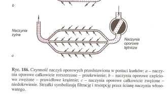 róŝnicy ciśnień między ZT a Zś.