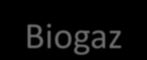 Biogaz