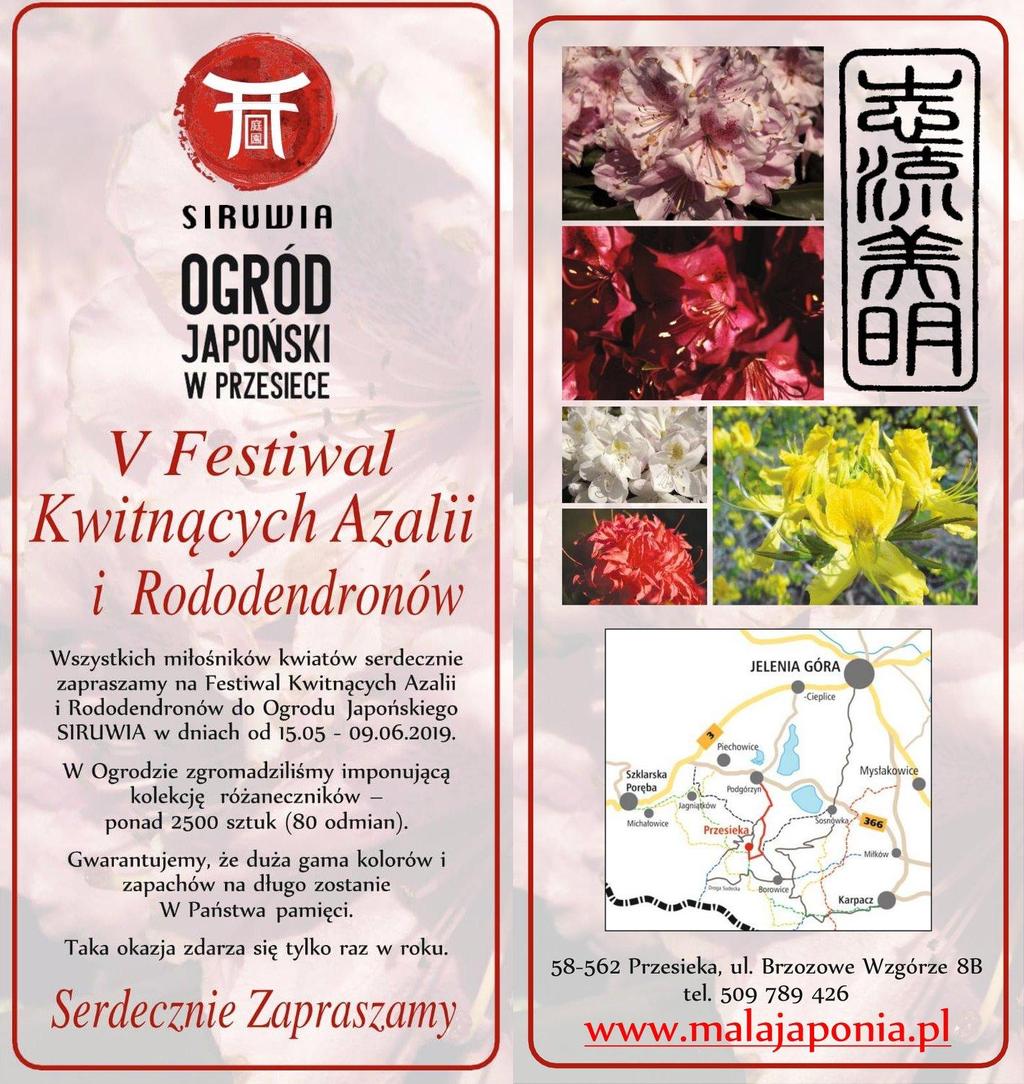 IMPREZY TEMATYCZNE V Festiwal Kwitnących Azalii i Rododendronów 15 Maj 2019-10:00-09
