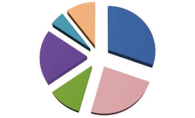 TRANSPORT INWESTYCJE W GMINIE 19% 5% 11% 30% 24% TYM 11%