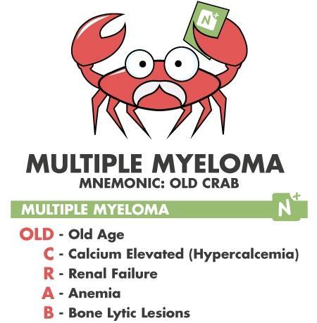 Multiple myeloma Second most common blood cancer