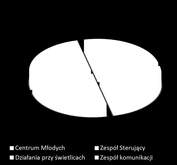 projektu. Grupy wsparcia Projekty rozwojowe dla osób, które wypadły lub wyrosły ze świetlic Zespół Sterujący: Mózg projektu.