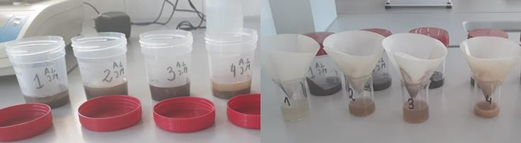 pokojowej przez 7 dni. Próbki 1 i 3 to warstwy wierzchnie gleby, próbka 2 i 4 pochodzą z głębokości 25cm. W celu oznaczenia ph odważono po 25 g każdej z próbek używając wagi analitycznej.